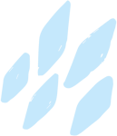 bg02
